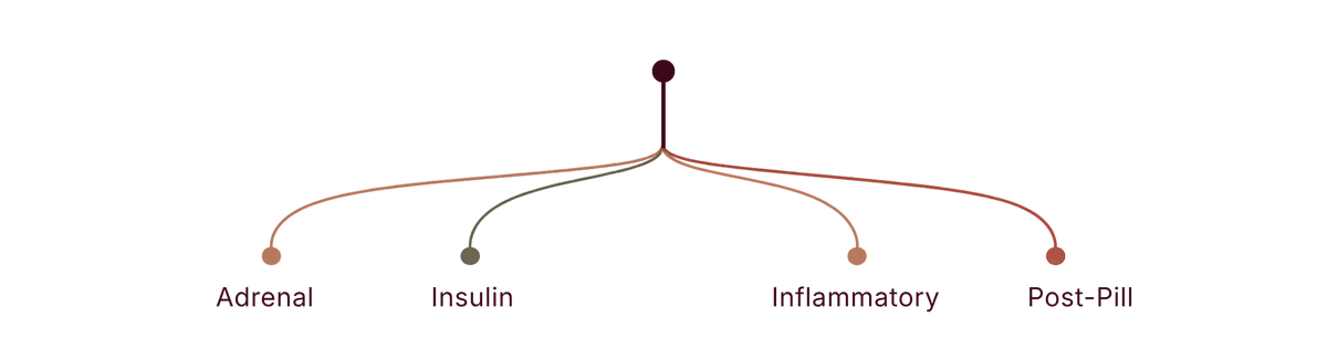Diagram with four branches labeled 'Adrenal', 'Insulin', 'Inflammatory', and 'Post-Pill' on a white background.